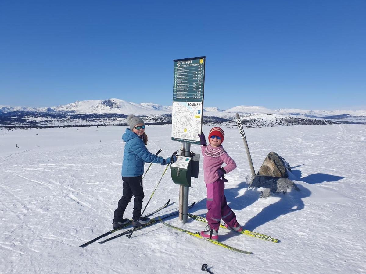 Oset Fjellhotell Гуль Экстерьер фото